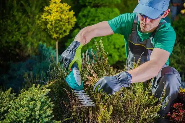 landscaping services Callaway